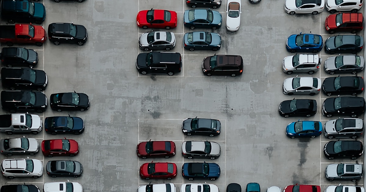 Understanding Cat N and Cat S Write-Offs: Should You Buy One?